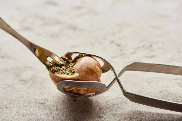 Delicious gourmet escargot with tweezers on stone background — Stock Photo