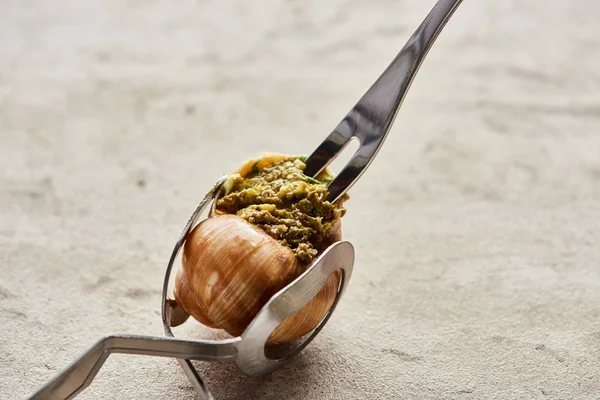 Nahaufnahme von köstlichen Gourmet-Escargot mit Pinzette auf Steinhintergrund — Stockfoto