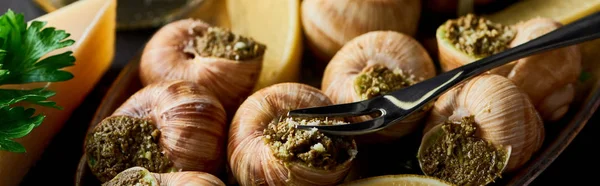 Nahaufnahme köstlicher gekochter Escargots mit Zitronenscheiben auf Teller mit Gabel, Panoramaaufnahme — Stockfoto