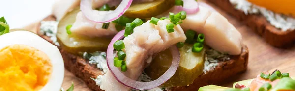Panoramic shot of herring fish fillet on danish smorrebrod — Stock Photo
