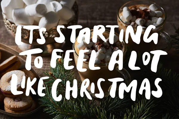 Cacao with marshmallow and cacao powder in mugs near pine branches and cookies on wooden table with its starting to feel a lot like Christmas illustration — Stock Photo