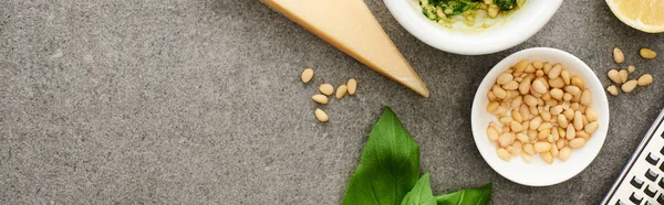 Vista dall'alto della salsa di pesto materie prime, grattugia su superficie grigia, colpo panoramico — Foto stock