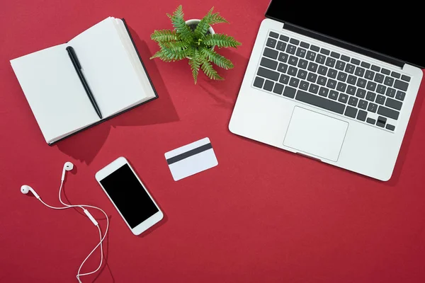 Вид зверху кредитної картки, смартфон, ноутбук, навушники, ручка, блокнот і рослина на червоному тлі — стокове фото