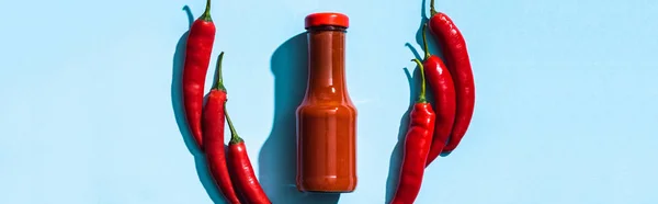 Vista superior de ketchup em garrafa com pimentas chicle no fundo azul, tiro panorâmico — Fotografia de Stock