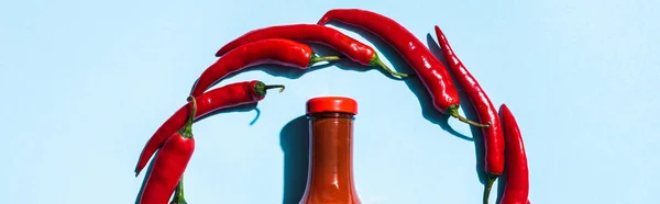 Vista superior de pimentas em torno da garrafa com molho de pimenta no fundo azul, tiro panorâmico — Fotografia de Stock