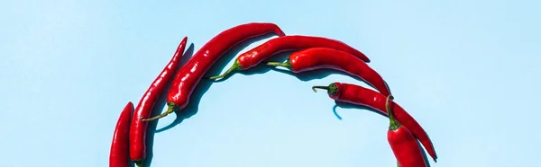 Top view of ripe chili peppers on blue background, panoramic shot — Stock Photo