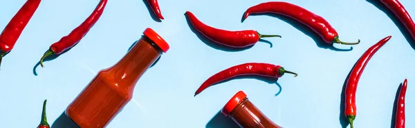 Top view of bottles with chili sauce and chili peppers on blue surface, panoramic shot — Stock Photo