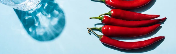 Vue de dessus du verre d'eau avec ombre et piments sur fond bleu, panoramique — Photo de stock