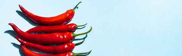 Top view of organic chili peppers on blue background with copy space, panoramic shot — Stock Photo