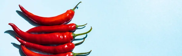 Vue du dessus des piments bio sur fond bleu avec espace de copie, vue panoramique — Photo de stock