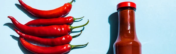 Top view of ripe chili peppers and chili sauce in bottle on blue background, panoramic shot — Stock Photo