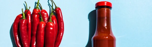 Vista dall'alto della salsa chili in bottiglia con peperoncini su sfondo blu, colpo panoramico — Foto stock