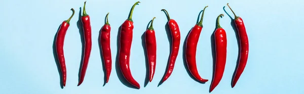 Top view of chili peppers with shadow on blue surface, panoramic shot — Stock Photo