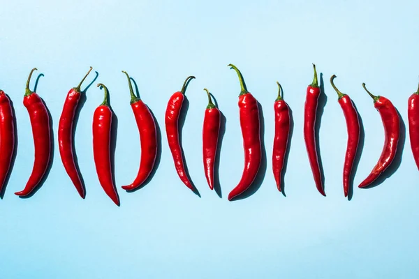 Vue du dessus des piments épicés sur fond bleu — Photo de stock