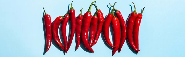 Top view of fresh chili peppers on blue surface, panoramic shot — Stock Photo