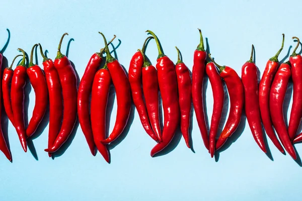 Spicy chili peppers on blue background — Stock Photo
