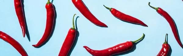 Top view of spicy chili peppers on blue surface, panoramic shot — Stock Photo