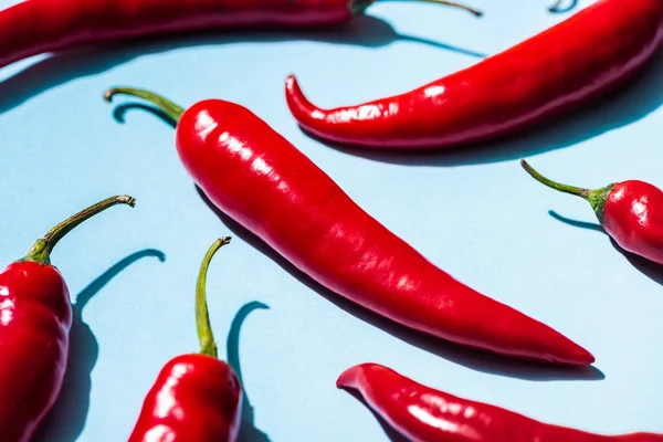 Vista de cerca de chiles maduros sobre fondo azul - foto de stock