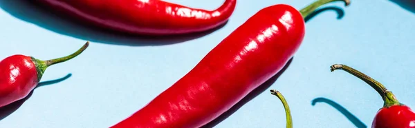 Vue rapprochée des piments rouges sur fond bleu, panoramique — Photo de stock