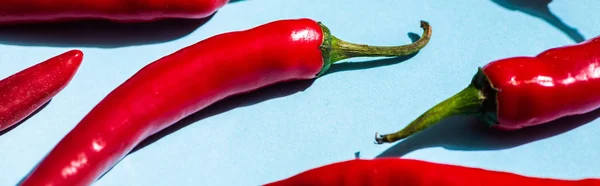 Close up view of organic chili peppers on blue surface, panoramic shot — Stock Photo