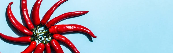 Vue du dessus des piments en forme de cercle sur fond bleu, vue panoramique — Photo de stock