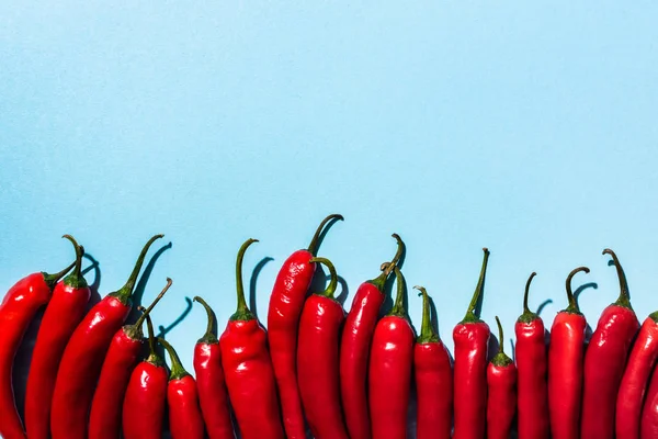 Draufsicht auf scharfe rote Chilischoten auf blauem Hintergrund — Stockfoto