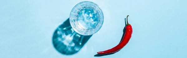Top view of ripe chili pepper and glass of water with shadow on blue background, panoramic shot — Stock Photo