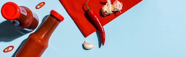 Vista dall'alto della salsa di pomodoro con aglio e peperoncino su sfondo blu, colpo panoramico — Foto stock