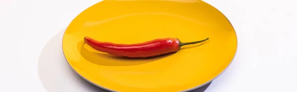 Foto panorámica de chile fresco en el plato sobre fondo blanco - foto de stock