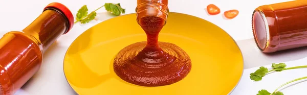 Colpo panoramico di ketchup su piatto con coriandolo su fondo bianco — Foto stock