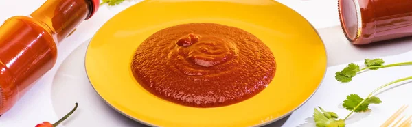 Plan panoramique de ketchup savoureux dans une assiette et des bouteilles à côté de la coriandre sur fond blanc — Photo de stock