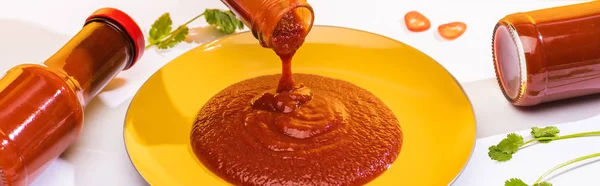 Panoramic shot of delicious ketchup on plate beside cilantro on white background — Stock Photo