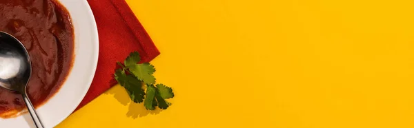 Top view of ketchup in plate with cilantro on yellow background, panoramic shot — Stock Photo