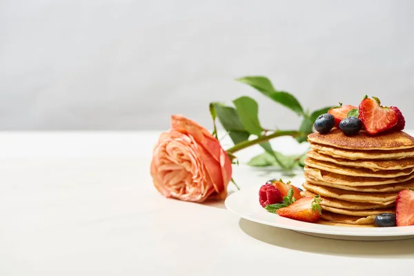 Enfoque selectivo de deliciosos panqueques con arándanos y fresas en el plato cerca de la rosa en la superficie blanca aislada en gris - foto de stock