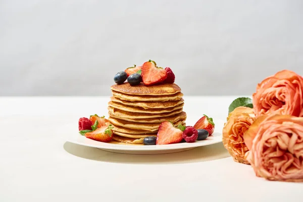 Enfoque selectivo de deliciosos panqueques con arándanos y fresas en el plato cerca de flores de rosas en la superficie blanca aislada en gris - foto de stock