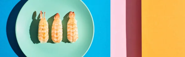 Top view of fresh nigiri with shrimps on blue, pink, orange background, panoramic shot — Stock Photo