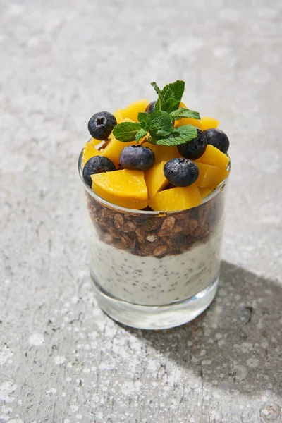 Fresh granola with canned peach, blueberries and chia seeds on grey concrete surface — Stock Photo