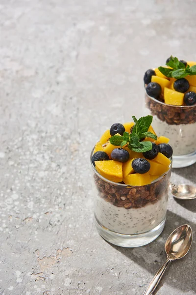 Fresh granola with canned peach, blueberries and chia seeds on grey concrete surface with spoon — Stock Photo