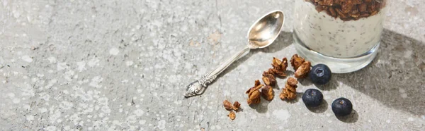 Granola frais avec des bleuets et des graines de chia sur une surface en béton gris avec une concentration sélective à la cuillère — Photo de stock