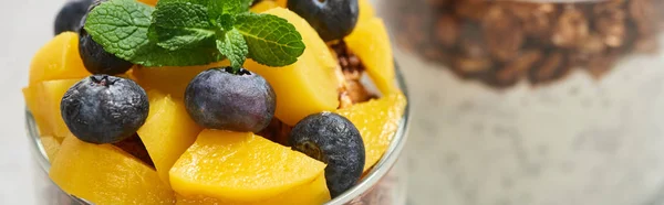 Nahaufnahme von schmackhaftem Müsli mit Pfirsichkonserven, Blaubeeren und Minze, Panoramaaufnahme — Stockfoto