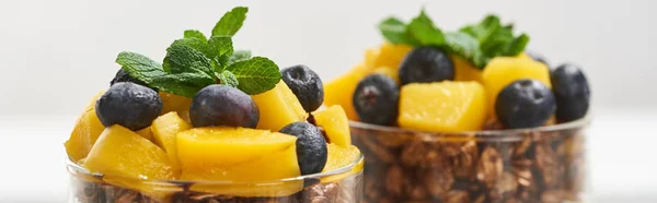 Close up view of tasty granola with canned peach, blueberries and mint, panoramic shot — Stock Photo