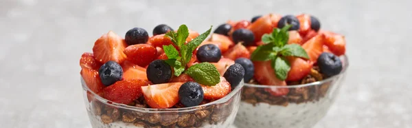 Selective focus of delicious granola with berries and mint on grey concrete surface, panoramic shot — Stock Photo