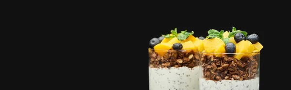 Fresh granola with canned peach, blueberries and chia seeds isolated on black, panoramic shot — Stock Photo