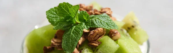 Close up view of fresh granola with kiwi and mint, panoramic shot — Stock Photo