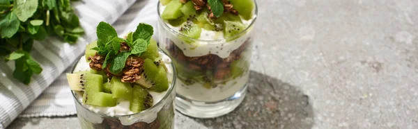 Muesli freschi con kiwi e yogurt su superficie di cemento grigio con tovagliolo a righe e menta, colpo panoramico — Foto stock