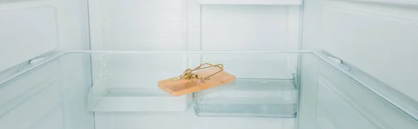 Panoramic shot of mousetrap on fridge shelf — Stock Photo