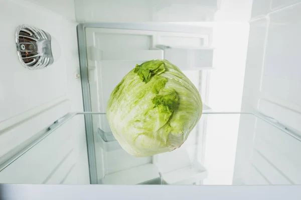 Chou frais au réfrigérateur avec porte ouverte isolée sur blanc — Photo de stock