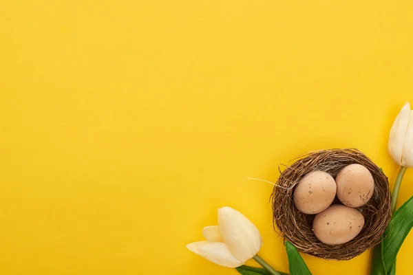 Vista superior de los tulipanes y huevos de pollo en el nido sobre un colorido fondo amarillo - foto de stock