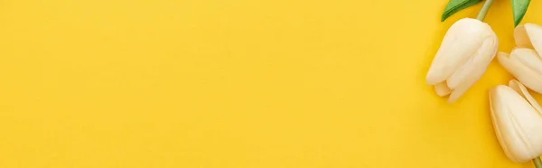 Draufsicht auf Frühlingstulpen auf buntem gelben Hintergrund mit Kopierraum, Panoramaaufnahme — Stockfoto