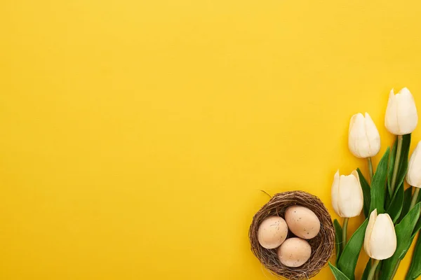 Vista dall'alto di tulipani e uova di pollo nel nido su sfondo giallo colorato — Foto stock